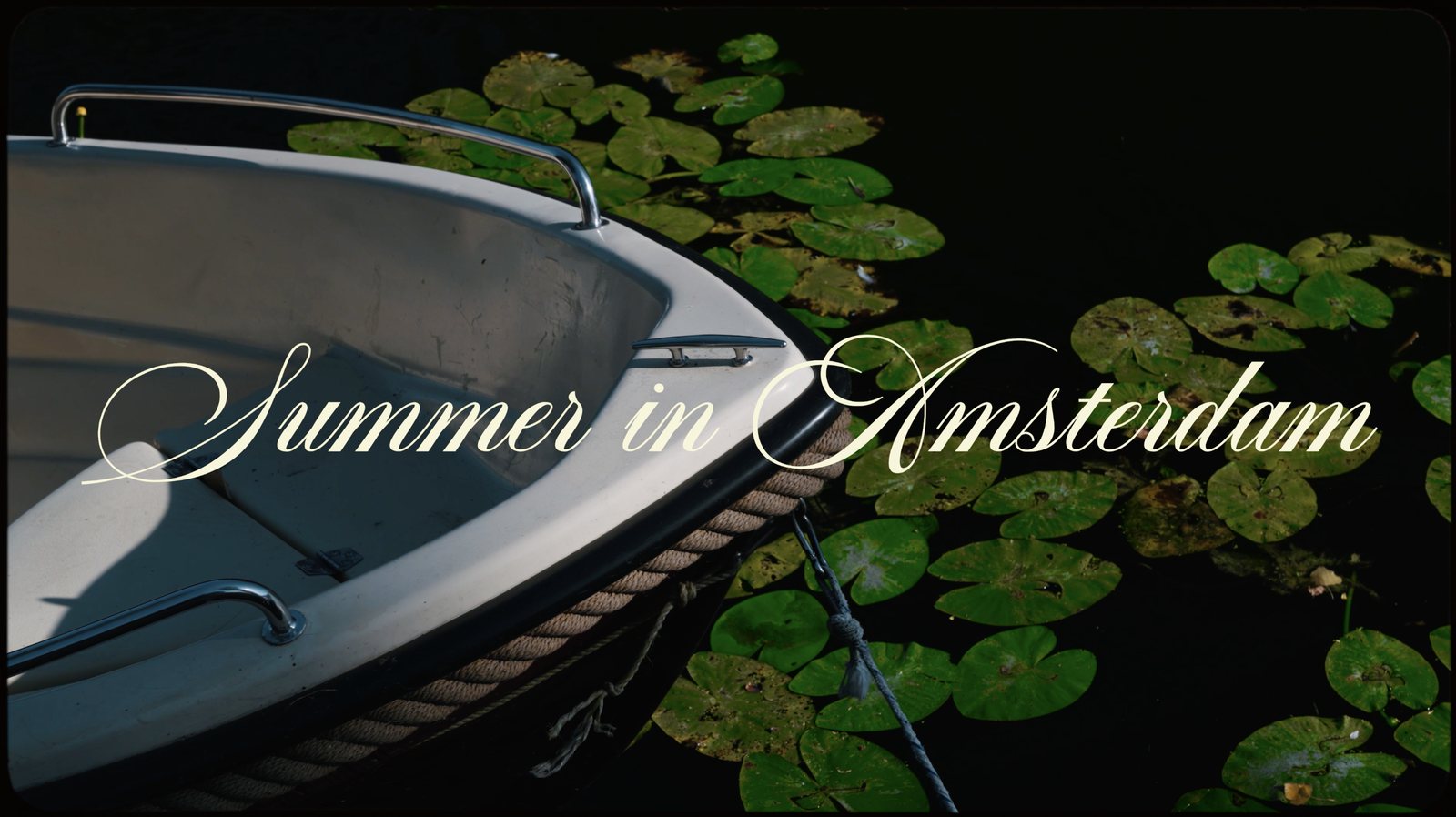 Summer in Amsterdam cover: a white rowing boat among lily pads